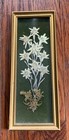 Rare 1950s Celluloid Photo Frame real Edelweiss Flowers made In Western Germany