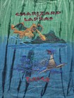 Vintage Pokemon Charzard Vs Lapras 2000 Nintendo T-shirt Size Youth Large