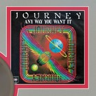 Journey Any Way You Want It Framed Picture Sleeve Gold 45 Record Display