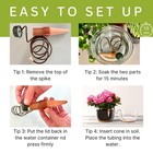 Blumat Classic Xl  2 Stakes  Automatic Self Watering houseplants vacation indoor