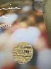 Simone Biles Hand Signed Autograph 8x10 Photo Usa Olympic Gymnast Gold Medalist