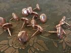 Copper 1 2 dia X 1 2  L Nails Upholstery Tacks Decorative Nail 100-1000-u s a