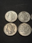 Lot Of 7 - 1921 Morgan Silver Dollars - D S P Mint Mix - 90  Silver