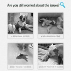 Portable Dog Progesterone Analyzer Canine Progesterone Test Machine W centrifuge
