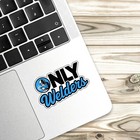 4pcs Only Welders Stickers  Funny Welding Waterproof Vinyl Decals Decor