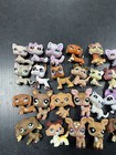 Lps Collectable Cats And Dogs Random Bag random 5pcs Lps Toys  7pcs Accessories