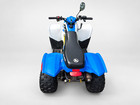 2016 Polaris Phoenix 200 For Sale