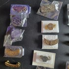 Harley Davidson Pin Lot Hog X80  2000s  Lady Riders  Rallies Rides Etc