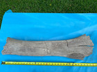 Large Texas Ice Age Extinct Mammoth Leg Bone Femur Fossil Brazos County Find