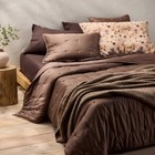 Standard 100  Linen Pillowcases Dark Fig - Casaluna