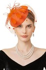 Elegant Feather Fascinator Hat With Veil - Tea Party  Derby  Bridal Hair Clip