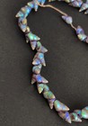 Vintage Tasmanian Aboriginal Maireener Shell Part Strand Necklace