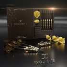 Cc-exquisite Premium Steel Tip Darts Set - Professional Darts  Brass 20g  20g
