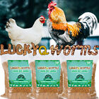 11-44lbs Bulk Dried Bsf Mealworms For Wild Birds Food Chickens Hen Fish Treats
