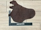 Mahogany Brown Genuine Shark Hide Skin Sharkskin Leather Exotic Fish Tanned 284