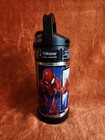Marvel Comics Spider Man Character Frames Stainless Steel 12oz Thermos Funtainer