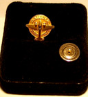  40 s- 50 s National Airlines 15 Year Service Pin In 10k Gold W sapphire  nice 