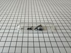 Black P Crystalline Periodic Table Element Collection Sealed Ampoule 0 1 Gram 