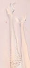 Lancaster By Gorham Sterling Sugar Tongs 4 1 4 