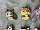 Littlest Pet Shop Lot Of 15 Figures - Cat  Dog  Pig  Penguin  Lamb