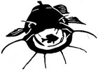 Catfish Vinyl Boat Decal Fishing Outdoors Truck Trailer Laptop Graphic Sticker
