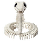 Skeleton Snake Figurine Coiled Halloween Spooky Decor Bone White Statue