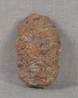 Petrified Pine Cone Fossil