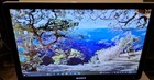 Sony Internet Tv Nsx-24gt1 24-inch Hd Google Tv W Remote Nsg-mr1 Tested Working