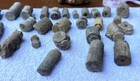 30 Kentucky Crinoid Fossils Stars And Flowers Collectors Bulk Lot 