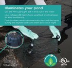 Totalpond Small All-in-one Pond Bundle With Decor Missing Plastic Liner