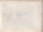 Original Wwi French Photo Crowd Celebration Of End Of War In Paris France 555