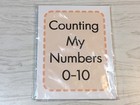 Counting My Numbers 1-10  Preschool  Flash Card Set