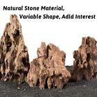Pinvnby Dragon Stone Ohko Rock Natural Aquarium Rocks Aquascaping 4 5 Lbs Mix   