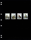 6 50 Scott Value - 2008 Cape Verde Birds Of Prey Falcons Buzzards Cv Mnh Nh Umm