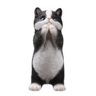 Hi-line Gift Ltd  7  H Cow Cat Kitten Statue Praying Small Black