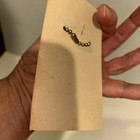 Rare Original 1940s - 1950s Ted Williams Red Sox Baseball Key Charm Mint On Card