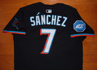 Miami Marlins Jesus Sanchez 2025 Game Issued Un Worn Road Nike Jersey  astros 