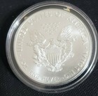 2014 American Silver Eagle Dollar Coin 1 Oz  999 Pure Fine Silver Bullion   Case