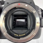 Canon Eos 250d 24 1mp Digital Slr Camera Body Only