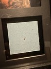 Ufc Ufc 317 Event-used Octagon Canvas Display Ilia Topuria Vs Charles Oliveira