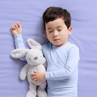 Disposable Overnight Diapers - Size 5 - 50ct - Up up