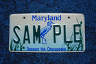 Maryland Treasure The Chesapeake License Plate Sample
