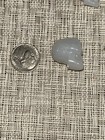 30 Pcs White Plastic Skull Ornament Head Crafts Miniature Halloween Figurine