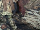 Scentblocker Dream Season Men s L Camouflage Pants Infinity Breakup Cold Fusion