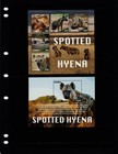 30 00 Scott Value - 2022 Gambia Spotted Hyenas 2 S s West Africa Cv Mnh Nh Umm