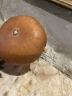Hopi Indian Wooden Gourd   Rattle