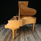 1927 Steinway Model M 5 7  Walnut Grand Piano Fully Restored