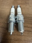  2  Oem Harley 1999-2017 Twin Cam Motors-sportster 1986-c  Spark Plugs-6r12