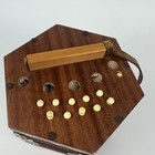 Vintage Italian 21-key Concertina Accordion Squeeze Box     Parts repair