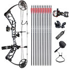 19-70lbs Compound Bow Kit Carbon Arrows Sight Archery Hunting Target Topoint T1